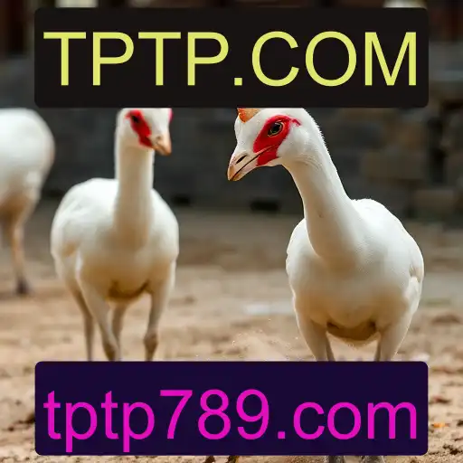 Gaming Experience TPTP.COM - 800+ Premium and Exclusive Games