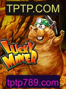 Explorando o Fascinante Mundo de LuckyMiner